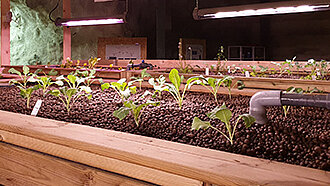 Plant beds with seedlings in an underground farming trial at the Hagerbach Test Gallery